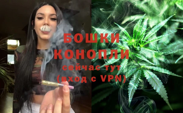 ALPHA-PVP Богородицк