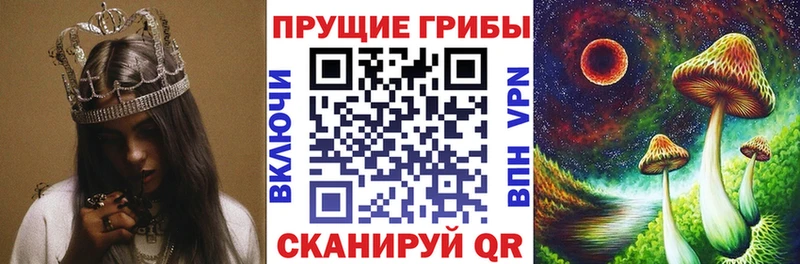 купить цена Находка Псилоцибиновые грибы Psilocybine cubensis