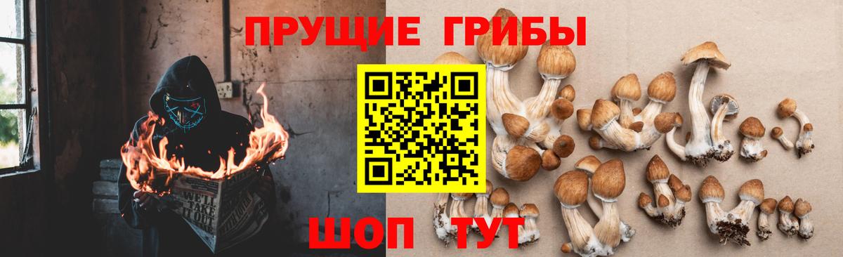 Галлюциногенные грибы Magic Shrooms Находка